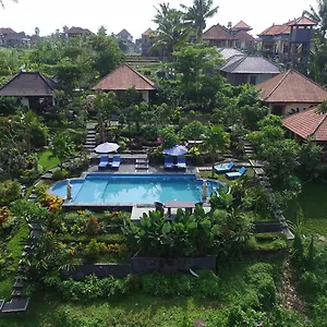 Capung Mas , Ubud Indonesia